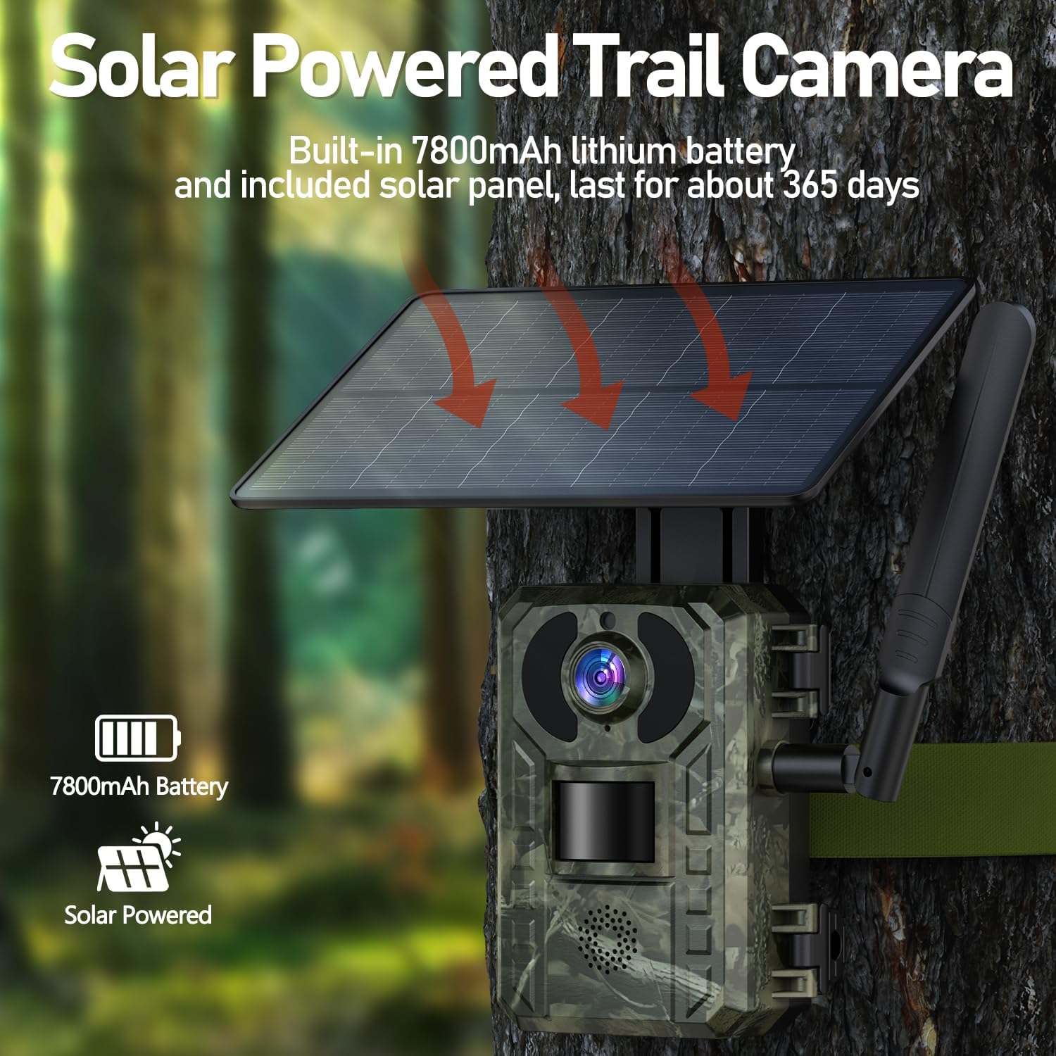 71Z6Kq40kJL._AC_SL1500_